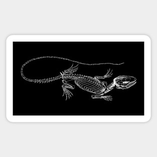 Iguana Skeleton Sticker